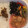 きらり流れ星's cooksnap of when they made だし風浅漬け丼.