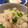 pandasenbe's cooksnap of when they made 簡単　菜の花ご飯.