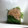 珍味佳肴's cooksnap of when they made ワサビ菜とツナのゴマ和え.