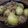 milletury's cooksnap of when they made じゃがいものそぼろ煮.