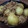 milletury's cooksnap of when they made じゃがいものそぼろ煮.