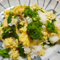Haru Haru's cooksnap of when they made 菜の花の昆布締めと炒り卵のお寿司.