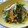 MyDining's cooksnap of when they made オクラとえのきのゴマ酢和え.