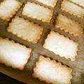 紅茶兎's cooksnap of when they made ＊チーズクッキー＊.