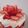atsuvega's cooksnap of when they made パパの誕生日ケーキ.