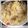 kemi★'s cooksnap of when they made まぐろフレークご飯.