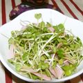 Satoco❋'s cooksnap of when they made 味付けいらず☆カイワレとハムのおつまみ.