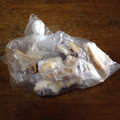 たんぽぽみーちゃん's cooksnap of when they made 生椎茸も冷凍保存できます♪.