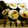 h194's cooksnap of when they made 福を巻き込む♪恵方巻き.