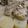 ふぢっち's cooksnap of when they made ブリ大根.