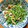 さーやgogo's cooksnap of when they made 豆苗の柚子胡椒和え.