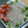 ゆんたな's cooksnap of when they made 九条ネギと水菜とじゃこのサラダ.