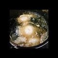 ちばっこかおりん's cooksnap of when they made 卵♡わかめ♡味噌汁in♡.