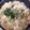 yuuminnn85's cooksnap of when they made 簡単☆シーフードピラフ.