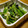 めがねの子's cooksnap of when they made 簡単！葱と小松菜の旨旨おつまみ。.
