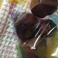 ふる嶋's cooksnap of when they made 簡単！見た目は高級♡美味しいチョコボーロ.