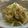 ぽっちゃま's cooksnap of when they made 簡単！おいしい！！直伝ナムル.