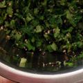 kanachun91's cooksnap of when they made ちょこっと大根葉でふりかけ.