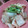 w^_.-w's cooksnap of when they made かぶの梅おかか和え.