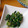 ｻ･∀･ﾁ's cooksnap of when they made 我が家お決まりのゴマ和え.