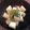mihonakari's cooksnap of when they made お弁当に♪長芋の青のり風味.