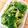 poppys's cooksnap of when they made 常備野菜★袋でゴマ和え.