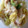 raiataiga's cooksnap of when they made 【超簡単】ツナと白菜のマスタード和え.
