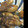 セッキー☆'s cooksnap of when they made 牡蠣の照り焼き.