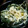 ゆっかりー９９'s cooksnap of when they made 高野豆腐と水菜の卵とじ♪.