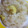 はっぴーはりぼ's cooksnap of when they made 秋がきた♪栗ごはん.