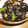 シルバニアF's cooksnap of when they made この順番！！　★美味しいひじき煮.