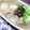 福山うりぼう's cooksnap of when they made 和食の副菜★ホタテと蕪の煮物.