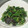 しゅんぺいのママ's cooksnap of when they made ほうれん草のゴマ海苔和え.