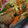 3匹の子ブタｍａｍａ's cooksnap of when they made プルコギ風野菜炒め♪.