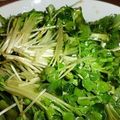 westちゃん's cooksnap of when they made 春菊とカイワレの胡麻サラダ.