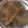 おやぶんこぶん's cooksnap of when they made 牛肉と牛蒡の時雨煮.
