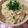 Akeimmy's cooksnap of when they made ツナだけ～炊き込みご飯.