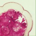 kwts_'s cooksnap of when they made サラダ大根の甘酢漬け.