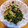 ナンキンハゼ's cooksnap of when they made 春菊とちくわのきんぴら.