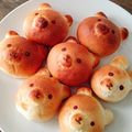 まめたん's cooksnap of when they made ミルクハース.
