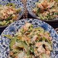 ひっこ's cooksnap of when they made ゴーヤとツナのサラダ.