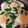 ひっこ's cooksnap of when they made 目玉焼きにパセリ(人参の葉っぱ)を乗せて.