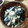chie-zou88's cooksnap of when they made 大根とワカメのツナマヨネーズ和え.