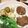 moco0913's cooksnap of when they made もやしと豚挽き肉のつくね.