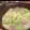 ru3e's cooksnap of when they made 豚バラ肉とキャベツの簡単にんにく鍋.