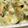にゃっぷらぷー's cooksnap of when they made レンジでほうれん草とジャガイモのグラタン.