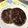minorug's cooksnap of when they made まぐろのハンバーグ　低カロ.
