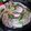 a-bright-future's cooksnap of when they made 大葉がポイント★簡単ミルフィーユ鍋.