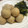 6mori's cooksnap of when they made 里芋の煮っころがし.