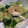 ガムピロ's cooksnap of when they made ささみとキュウリの塩だれ.